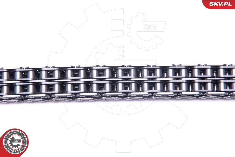 Timing Chain Kit